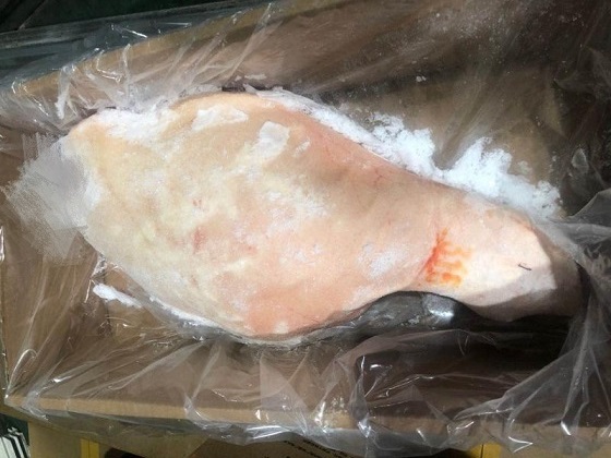 阿根廷猪肉_2