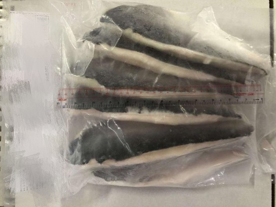越南巴沙鱼_2